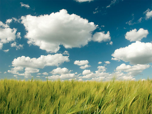 clouds