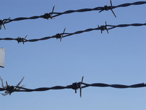 barbedwire