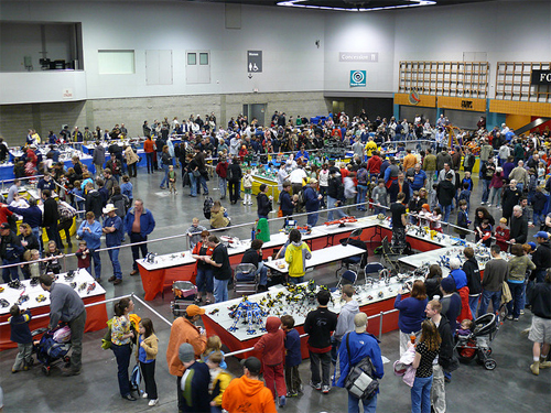 crowd